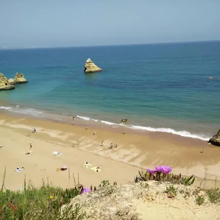 Duplex Sea View. Near Beaches And Town Center. Apartamento *